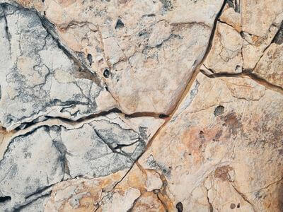 About Downey Attic Mold Remediation Pros - attic mold remediation experts in Downey