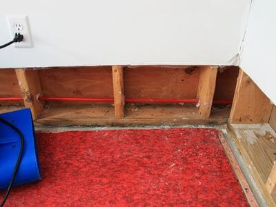 Professional attic mold remediation services in Downey